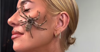 Penyanyi kongsi video labah-labah besar melata di muka
